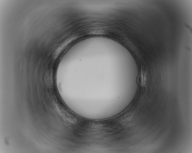 X0000103430531200809261733