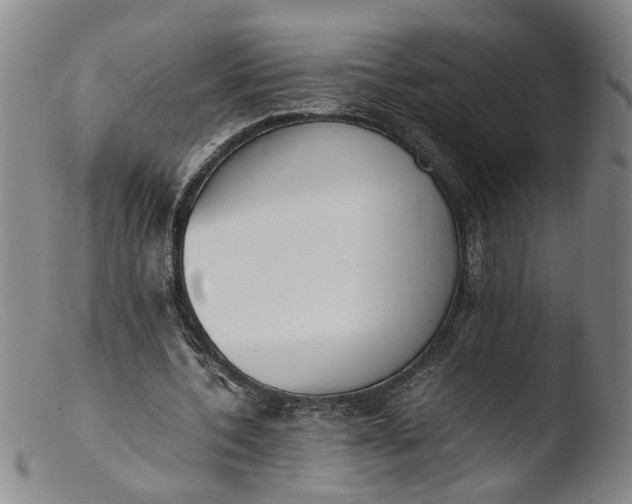 X0000103430532200809261733