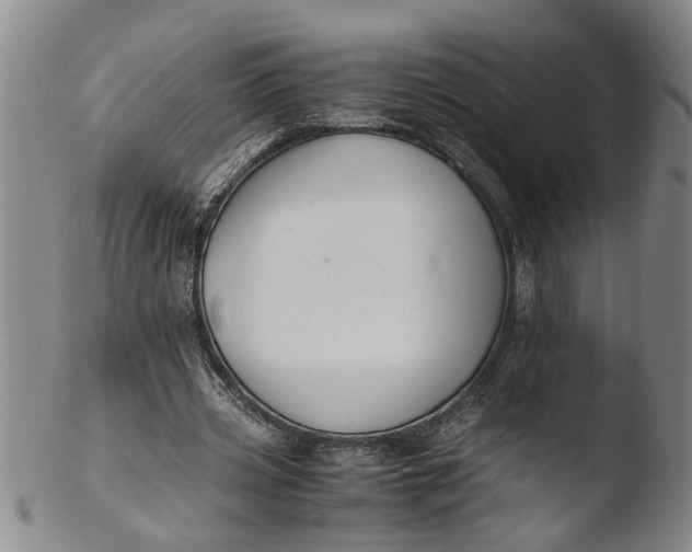 X0000103430533200809261733