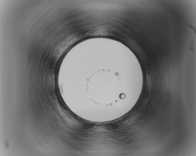 X0000103430534200809261733