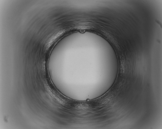 X0000103430535200809261733