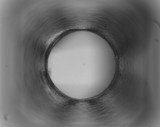 X0000103430536200809261733