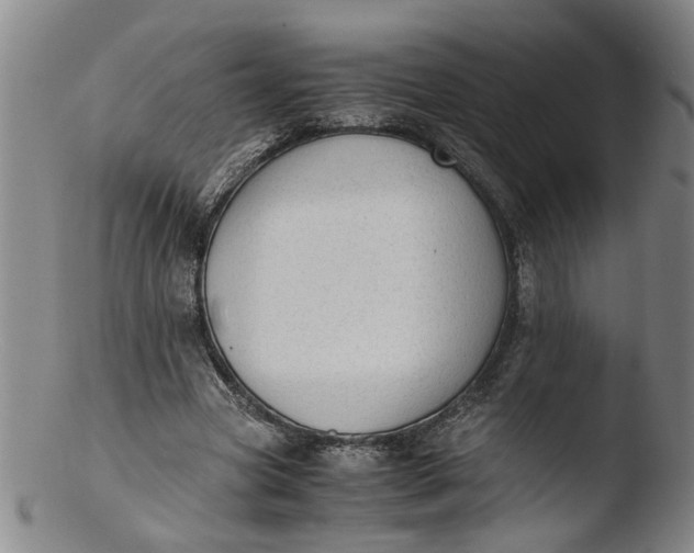 X0000103430537200809261733