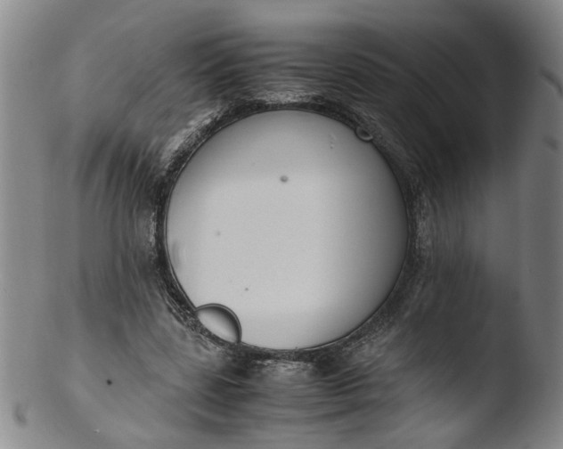 X0000103430539200809261733