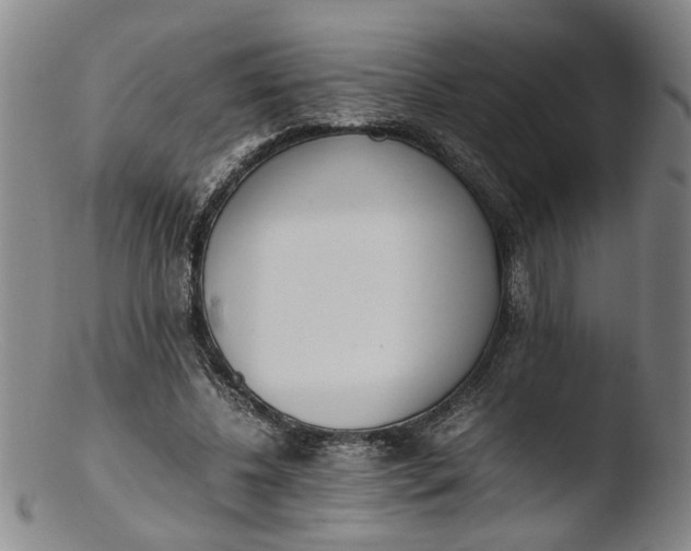 X0000103430540200809261733