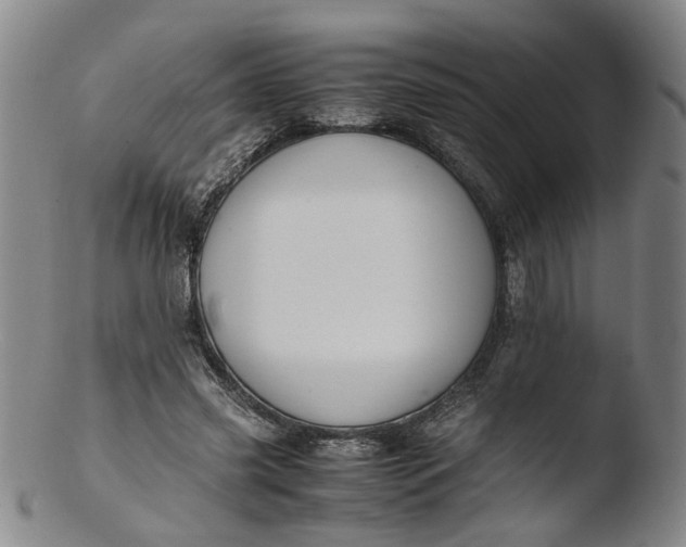 X0000103430541200809261733