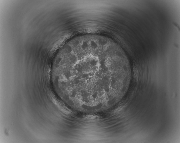 X0000103430542200809261733