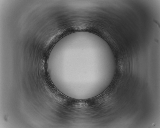 X0000103430543200809261733