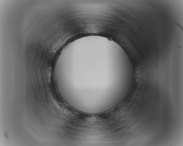 X0000103430544200809261733