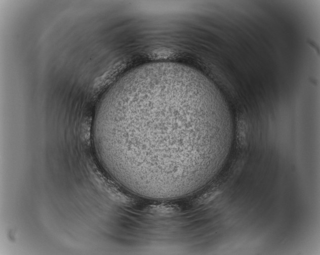 X0000103430545200809261733