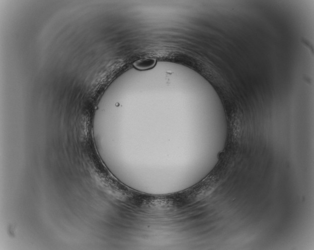 X0000103430546200809261733