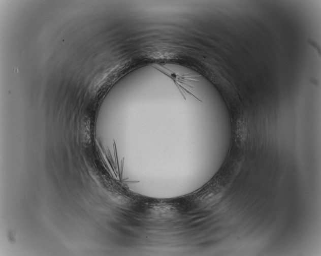 X0000103430547200809261733