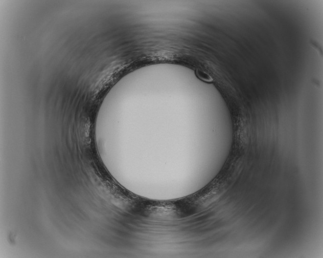 X0000103430548200809261733