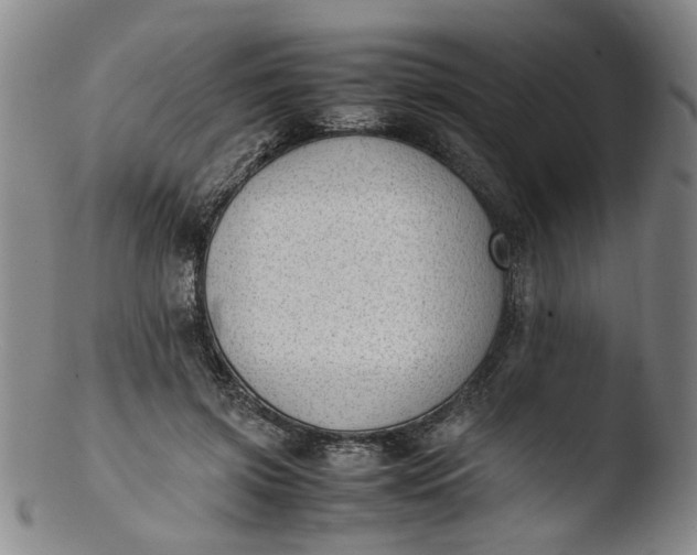 X0000103430549200809261733