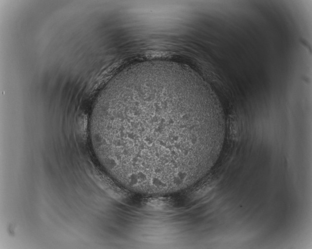 X0000103430550200809261733