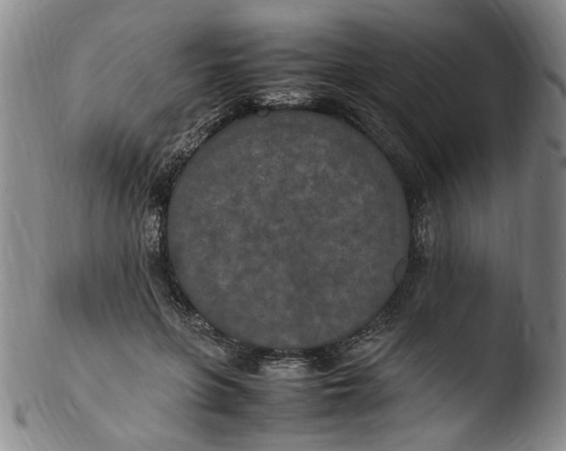 X0000103430551200809261733