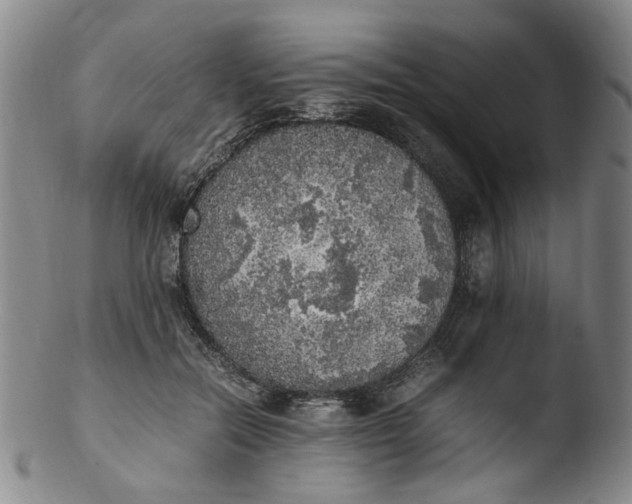 X0000103430554200809261733