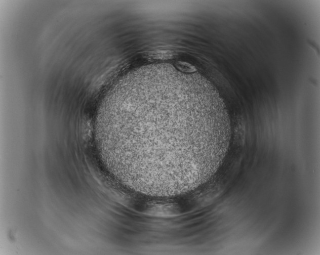 X0000103430555200809261733