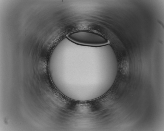 X0000103430556200809261733