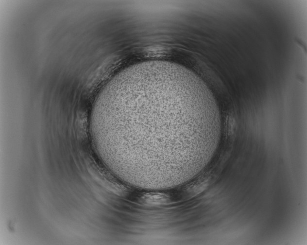 X0000103430557200809261733