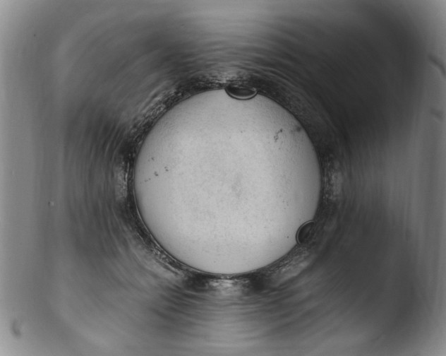 X0000103430558200809261733