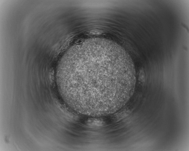 X0000103430559200809261733