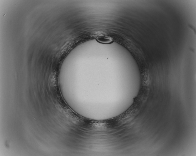 X0000103430560200809261733