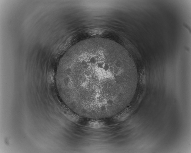 X0000103430561200809261733