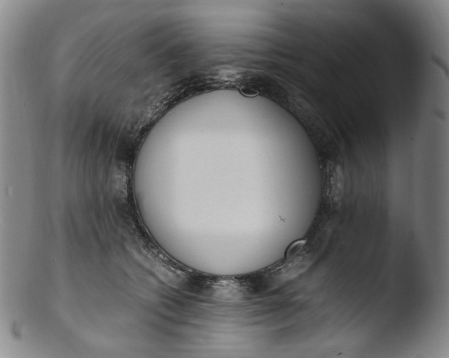 X0000103430562200809261733