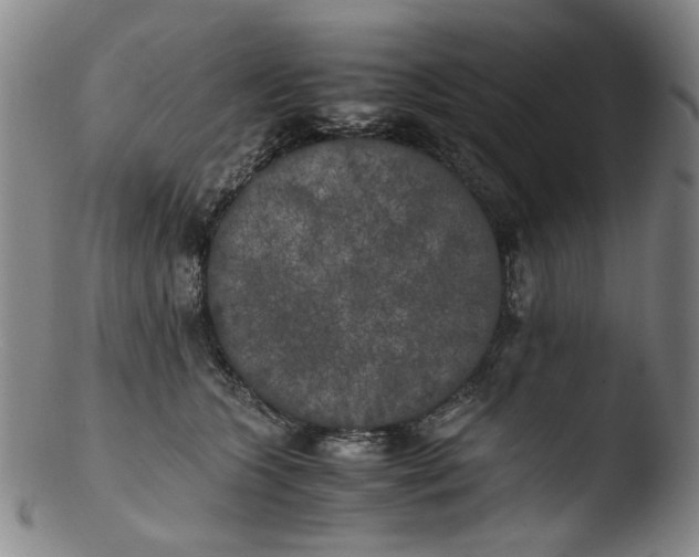 X0000103430563200809261733