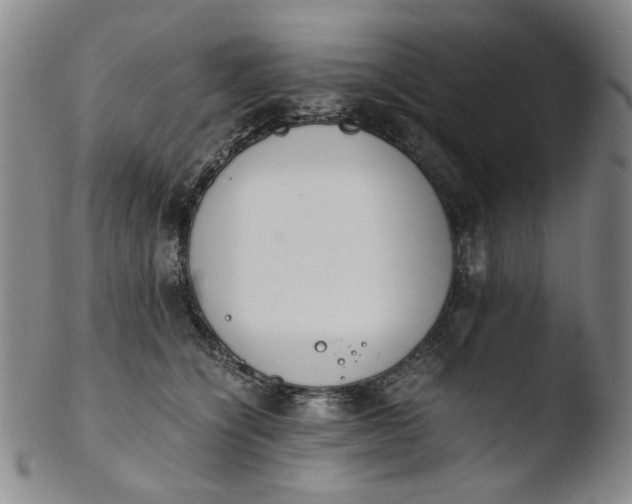 X0000103430564200809261733