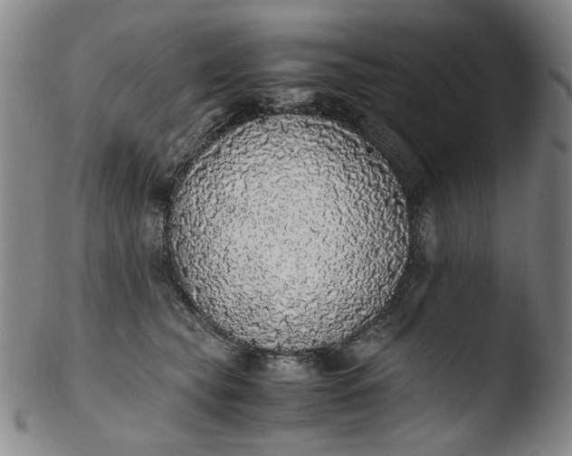 X0000103430565200809261733