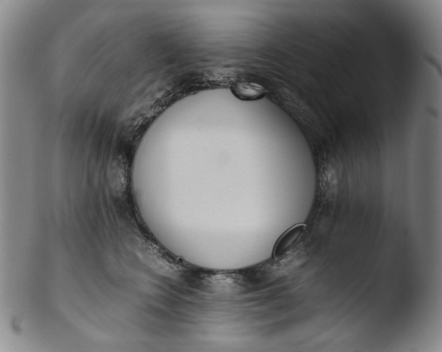 X0000103430566200809261733