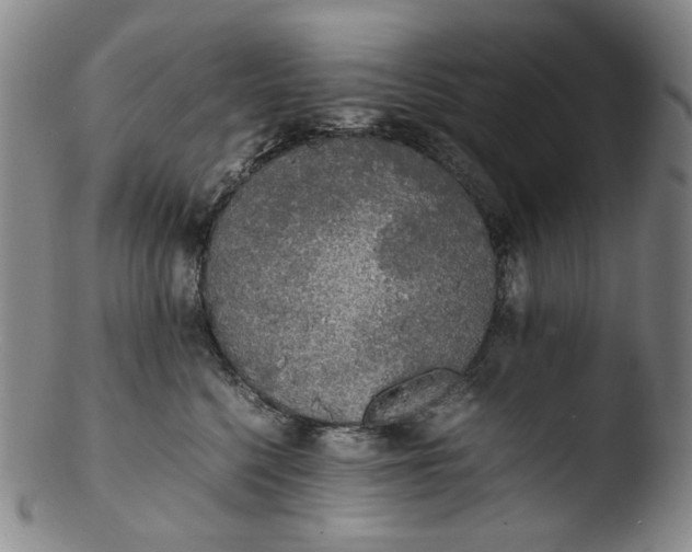 X0000103430568200809261733