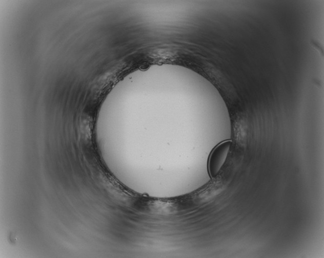 X0000103430570200809261733