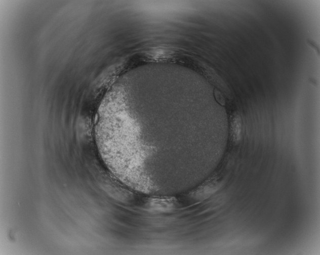 X0000103430571200809261733