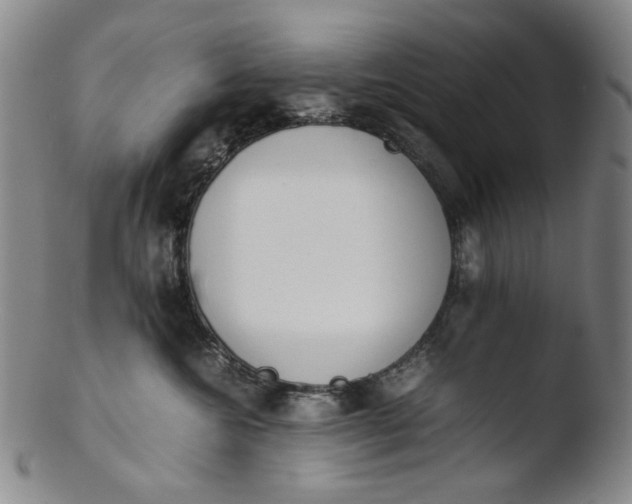 X0000103430572200809261733