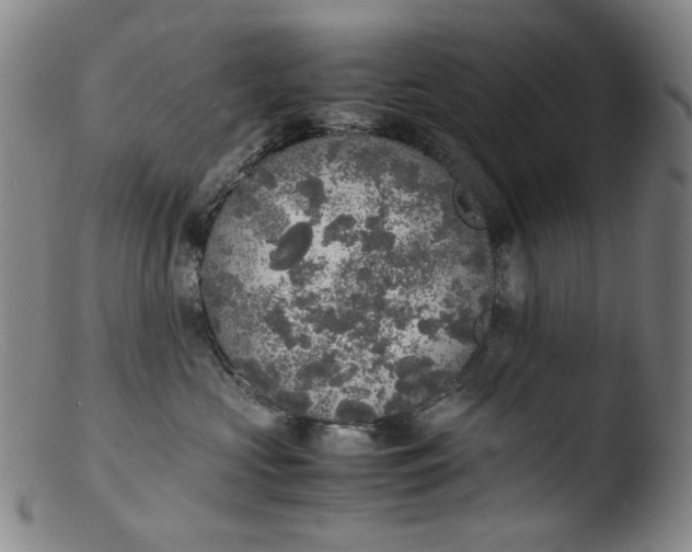 X0000103430573200809261733