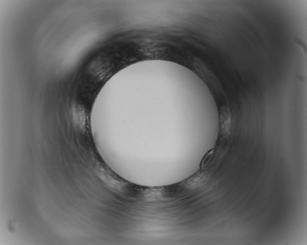 X0000103430574200809261733