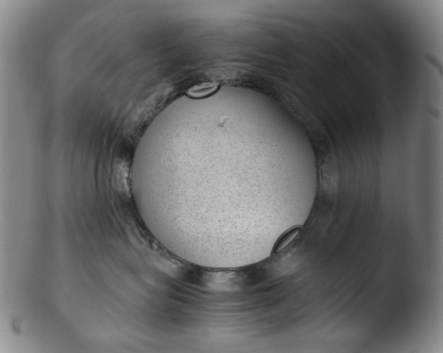 X0000103430575200809261733