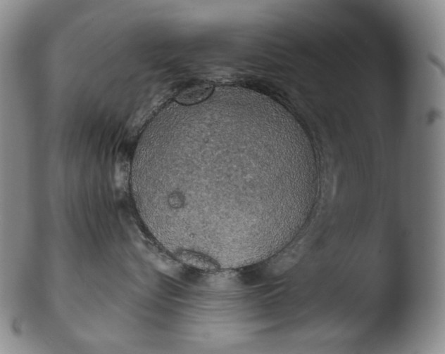 X0000103430576200809261733