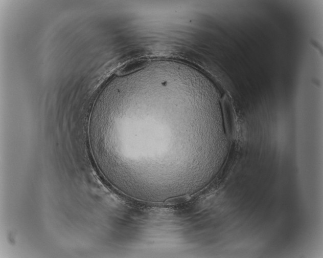 X0000103430577200809261733