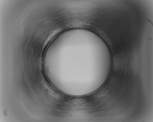 X0000103430578200809261733