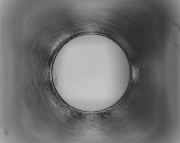 X0000103430579200809261733