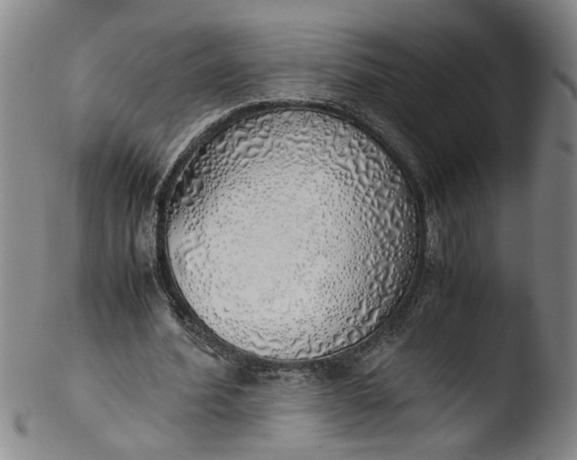 X0000103430580200809261733