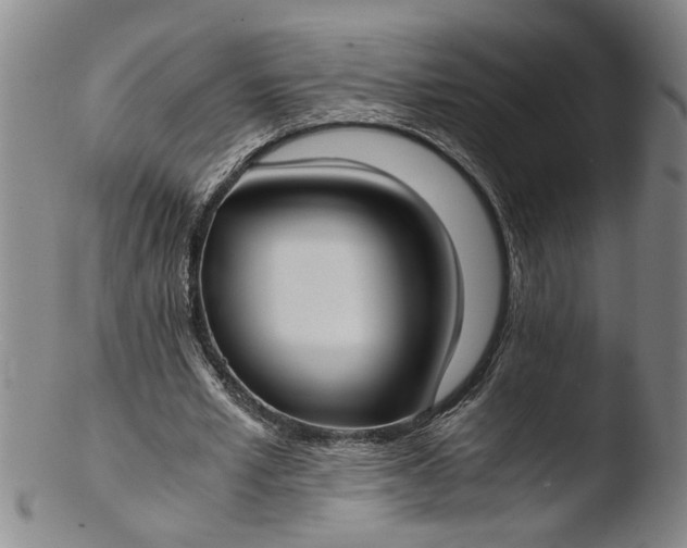 X0000103430581200809261733