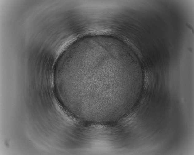 X0000103430582200809261733