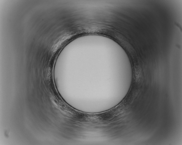 X0000103430583200809261733