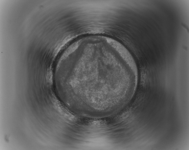 X0000103430584200809261733