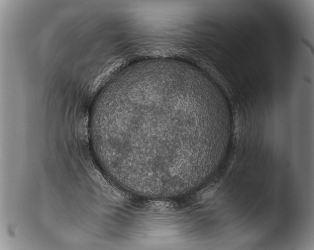 X0000103430585200809261733